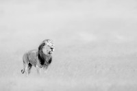 _46T5969