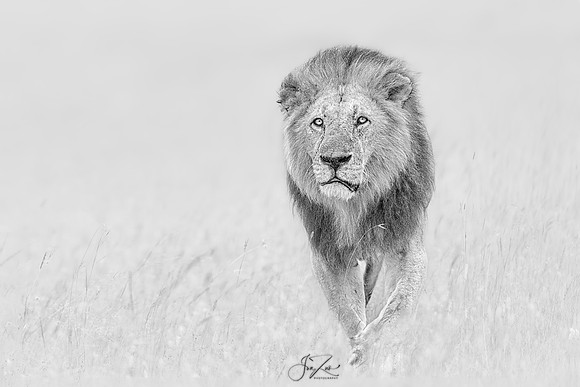 _46T5911BWsRGB