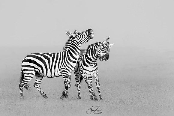 _46T7340R