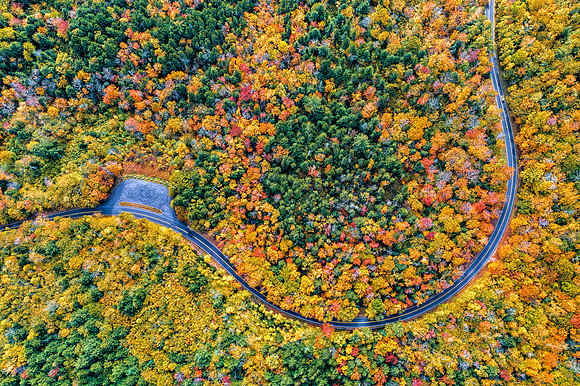 DJI_0934-Enhanced-NR