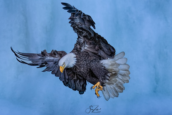 _C4A2172sRGB