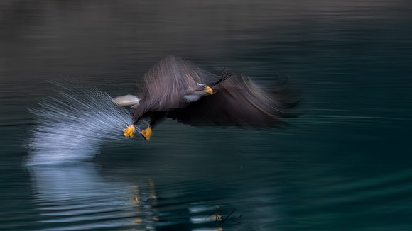 _C4A7715sRGB