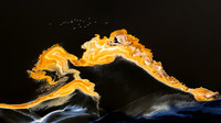 _F7I0634